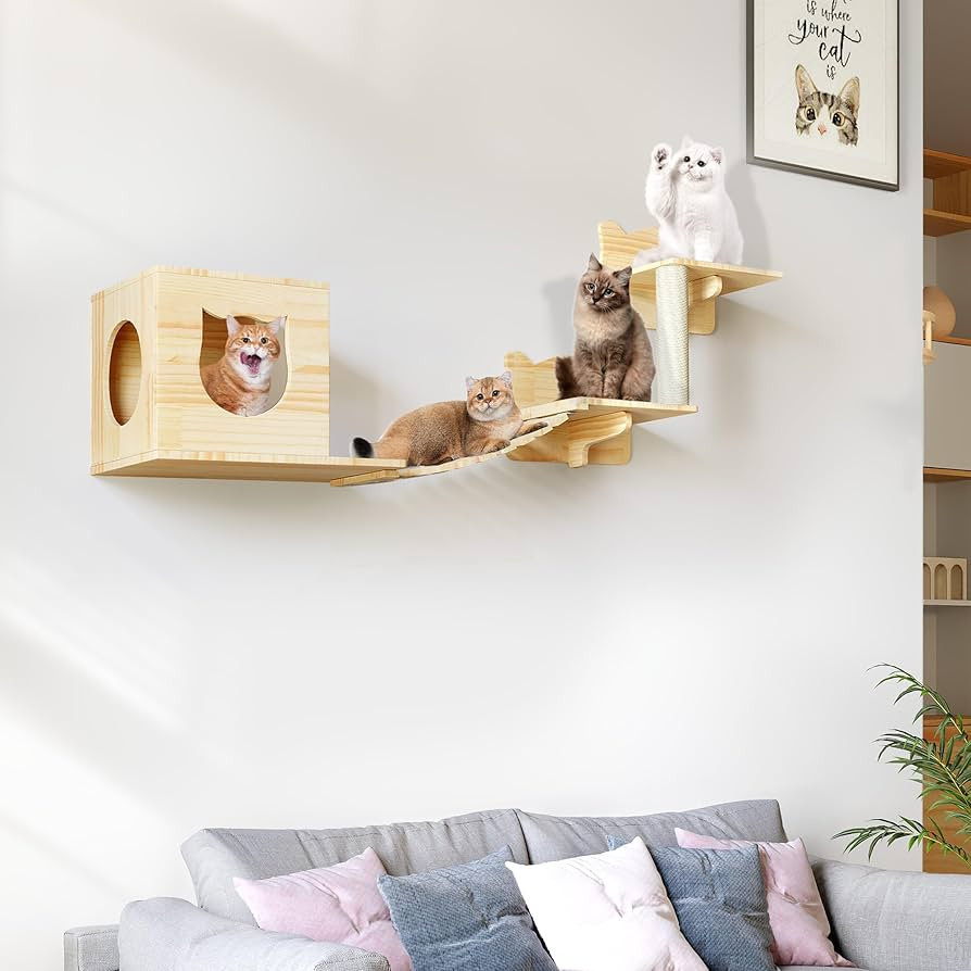 Cat Wall Shelves, 5-in-1 Solid Wood Wall-Mounted Cats Furniture Set with Scratching Post, Cat Cli... | Amazon (US)
