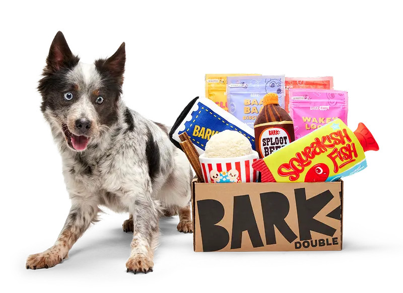 We're Hiring a Dog. | BARK