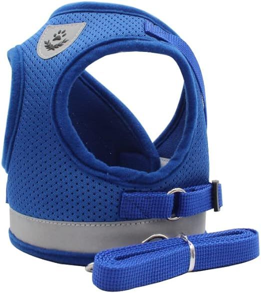 FIZILI Soft Dog Harness, Reflective Breathable Mesh Dog Vest Harness for Puppies XS Small Medium ... | Amazon (US)