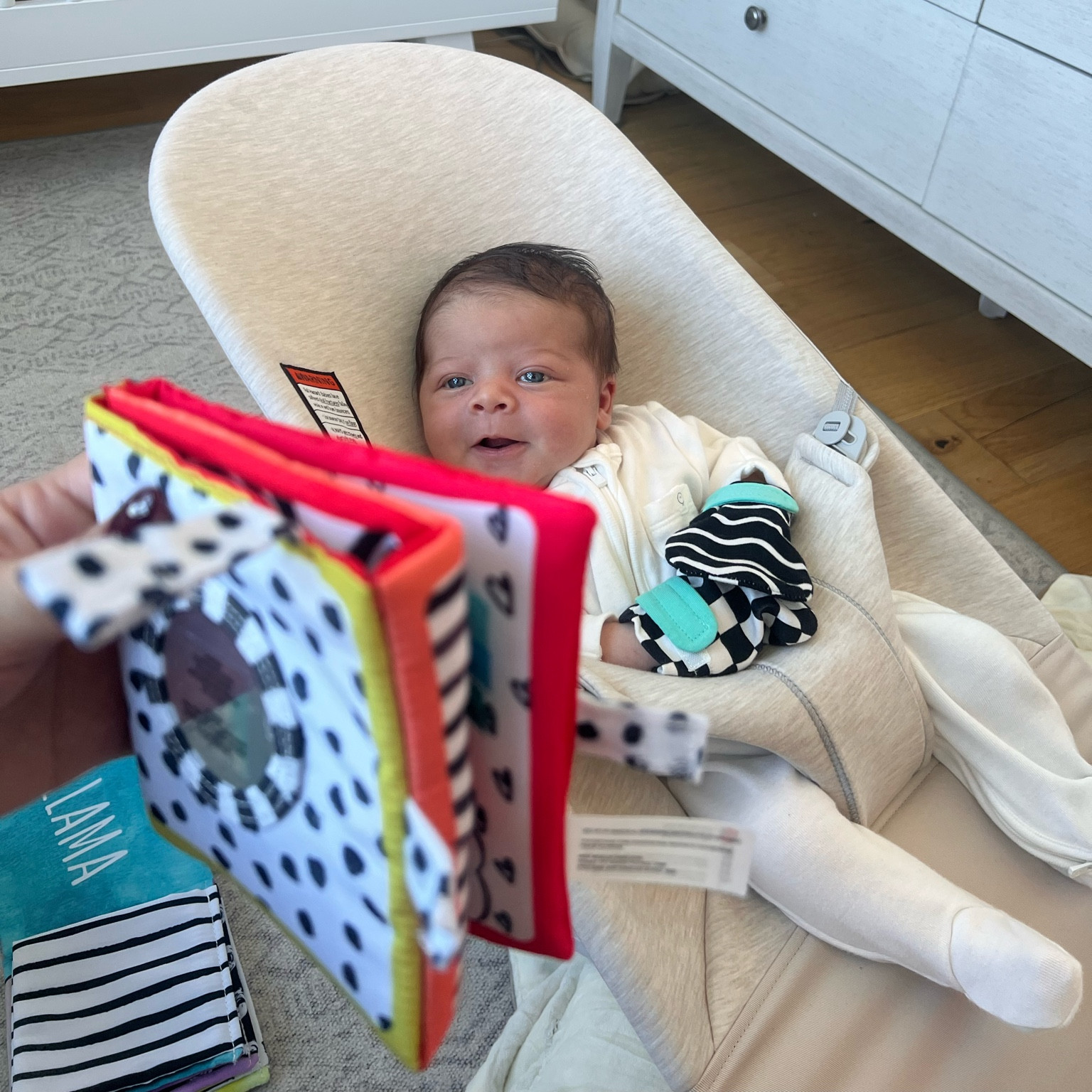 Must-haves for newborns: a neutral baby bouncer that matches the apartment and nursery, and a playtime kit!