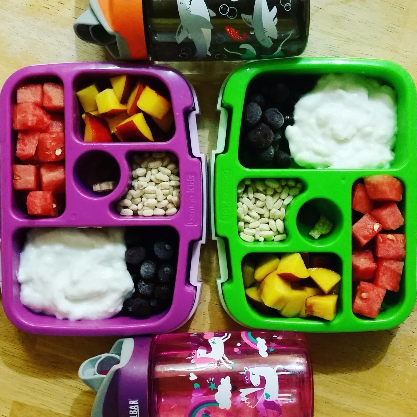 Bentgo® Kids Bento-Style 5-Compartment Leak-Proof Lunch Box - Ideal Portion Sizes for Ages 3 to ... | Amazon (US)