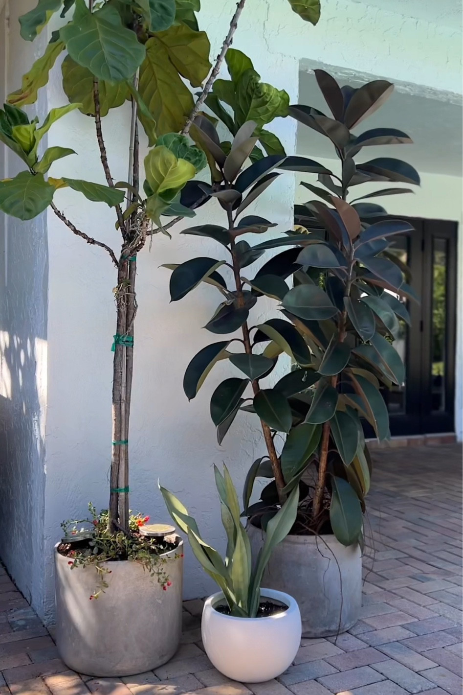 Outdoor planters 

#LTKhome #LTKunder100 #LTKunder50