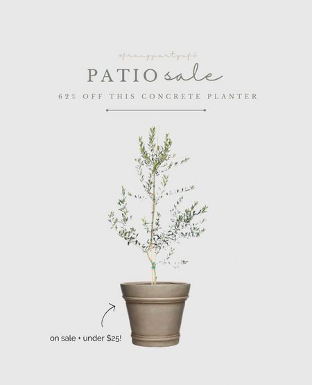 Save 62% on this concrete planter! Very McGee & Co. style. Only a few available!

#LTKhome #LTKsalealert #LTKSeasonal