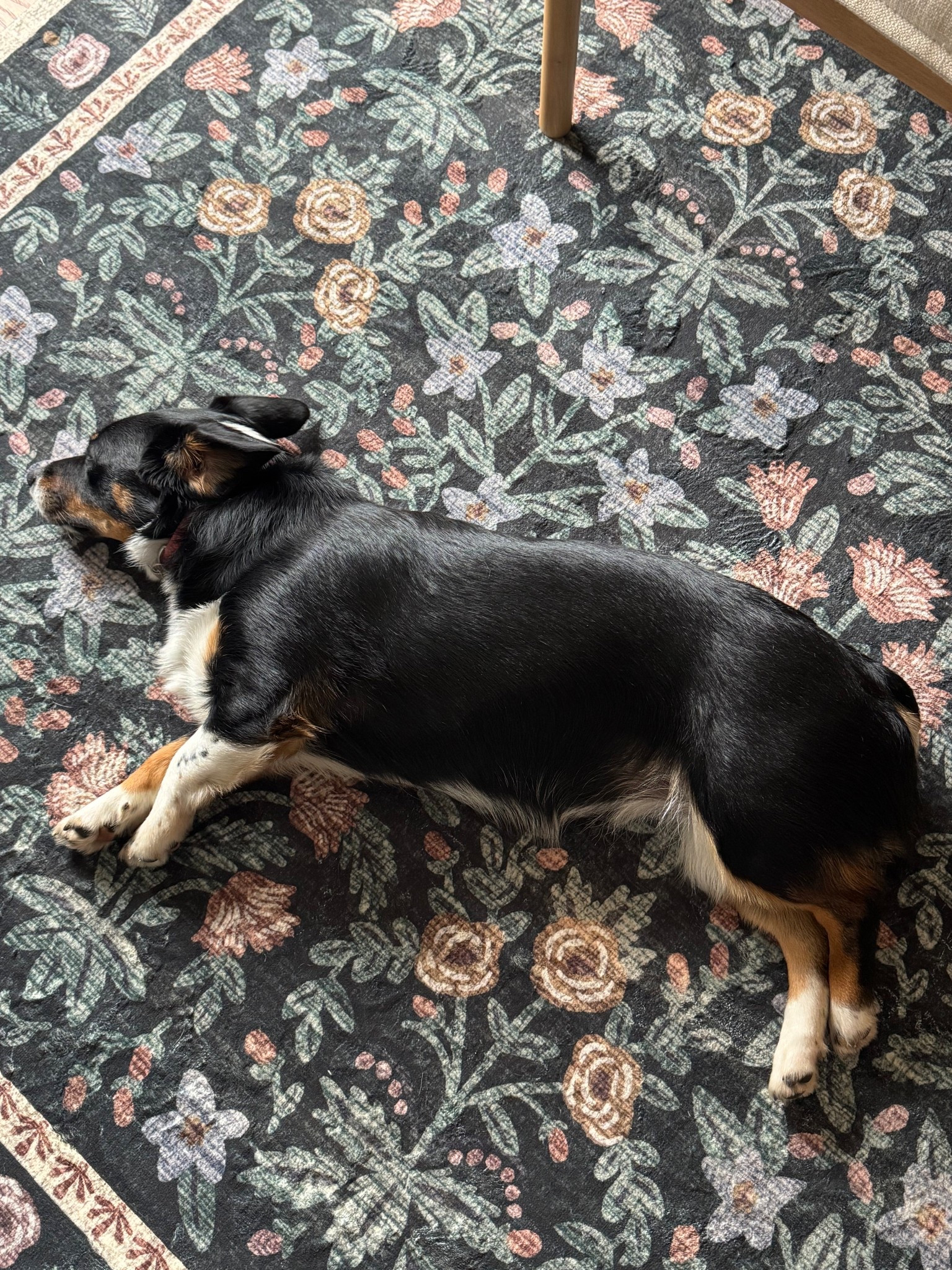 The softest and prettiest floral rug🤍

#LTKSeasonal #LTKHome #LTKSaleAlert