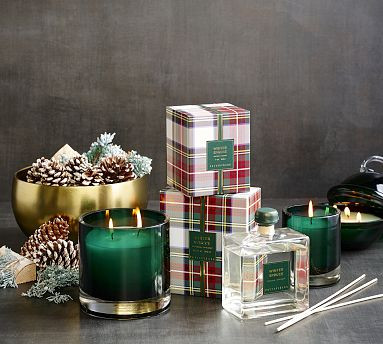 Winter Spruce Scent Collection | Pottery Barn (US)