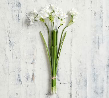 Faux Paperwhite Bouquet | Pottery Barn (US)