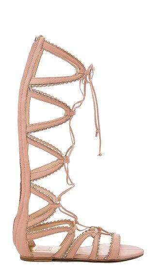 Dolce Vita Raleigh Sandal in Natural | Revolve Clothing