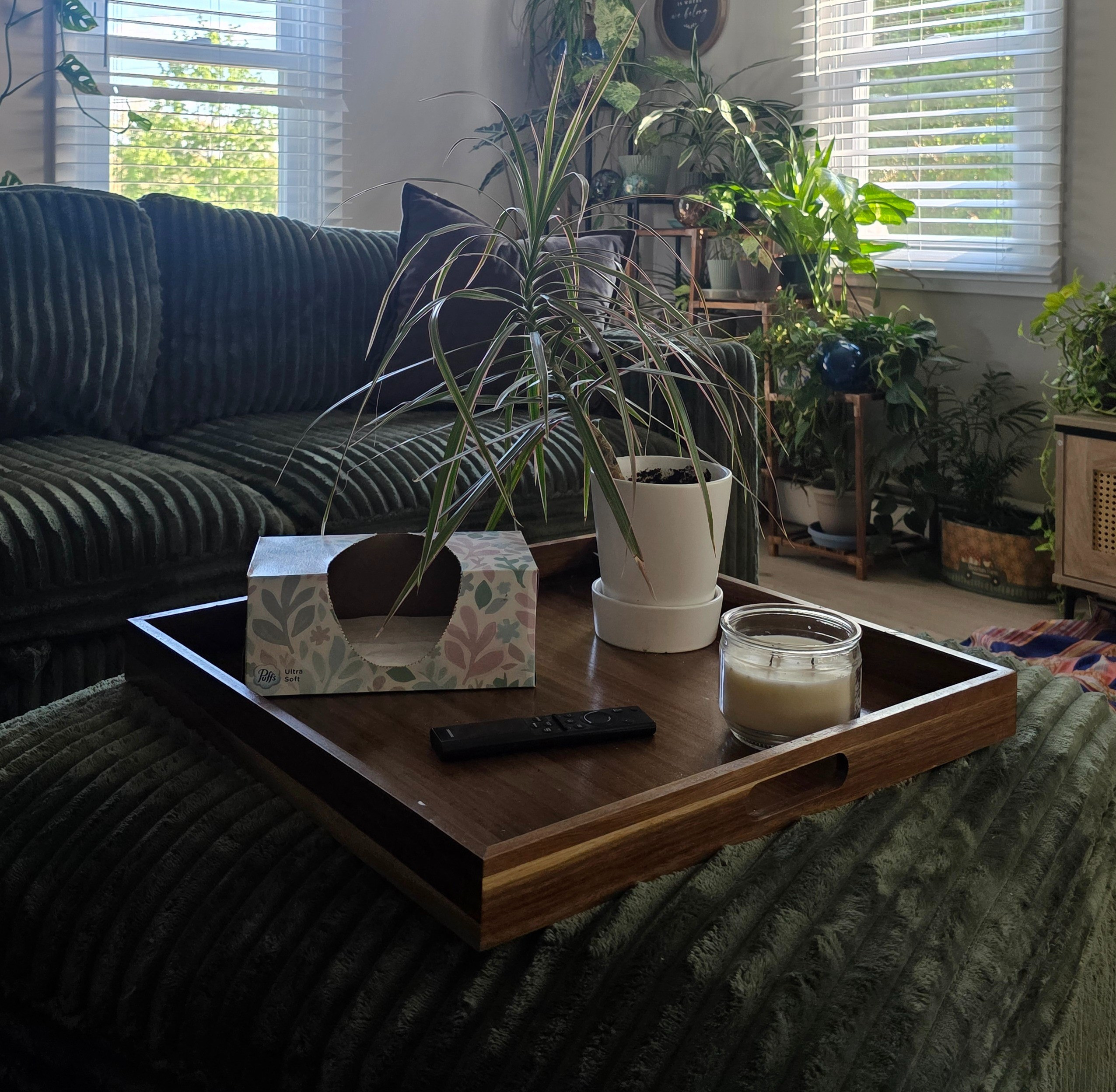 Here's another problem solving hack... Thanks Janine!  Once I got this amazing Belffin couch in the house I realized my favorite coffee table wouldn't work ... Womp womp I know ... So now what!! Apparently a great tray on one of the ottomans! Voila!  Yes, I even have a plant 🪴 on the tray... I can't help myself 😂#amazon #belffin #home #solutions

#LTKdayinmylife #LTKmomlife #LTKHome