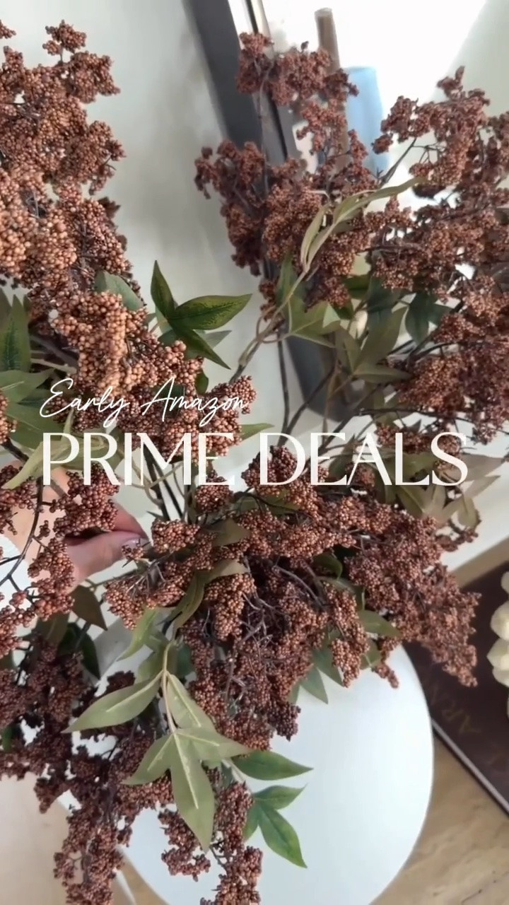 Prime Big Deal days is next week!! So many of my favorites in our home have been marked down early—shop these deals now and beat the rush!!

#LTKHome #LTKSaleAlert #LTKootd