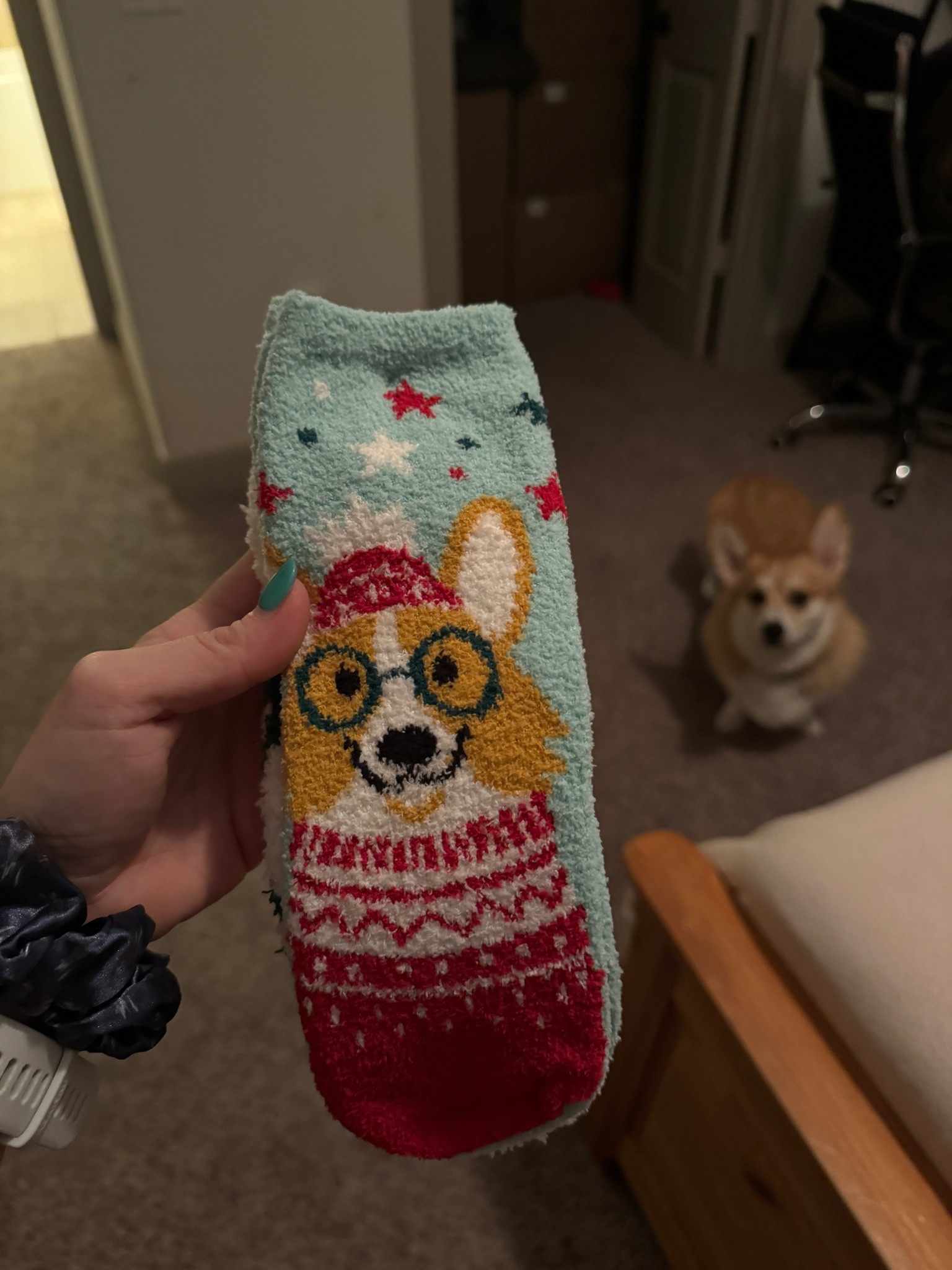 Christmas corgi socks from Target❤️

#LTKGiftGuide #LTKSeasonal #LTKHoliday