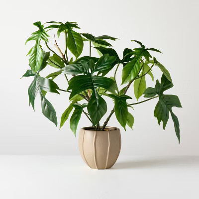 Large Philodendron Pedatum Artificial Plant - Hearth & Hand™ with Magnolia | Target