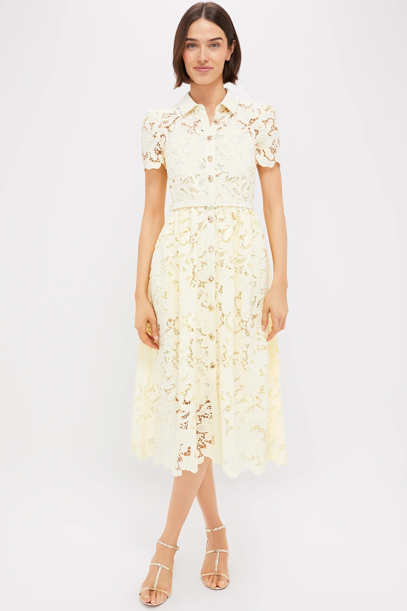 Yellow Lace Collared Midi Dress | Tuckernuck (US)
