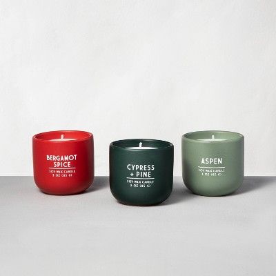 3pk Assorted Scent Holiday 3oz Candle Gift Set - Hearth & Hand™ with Magnolia | Target