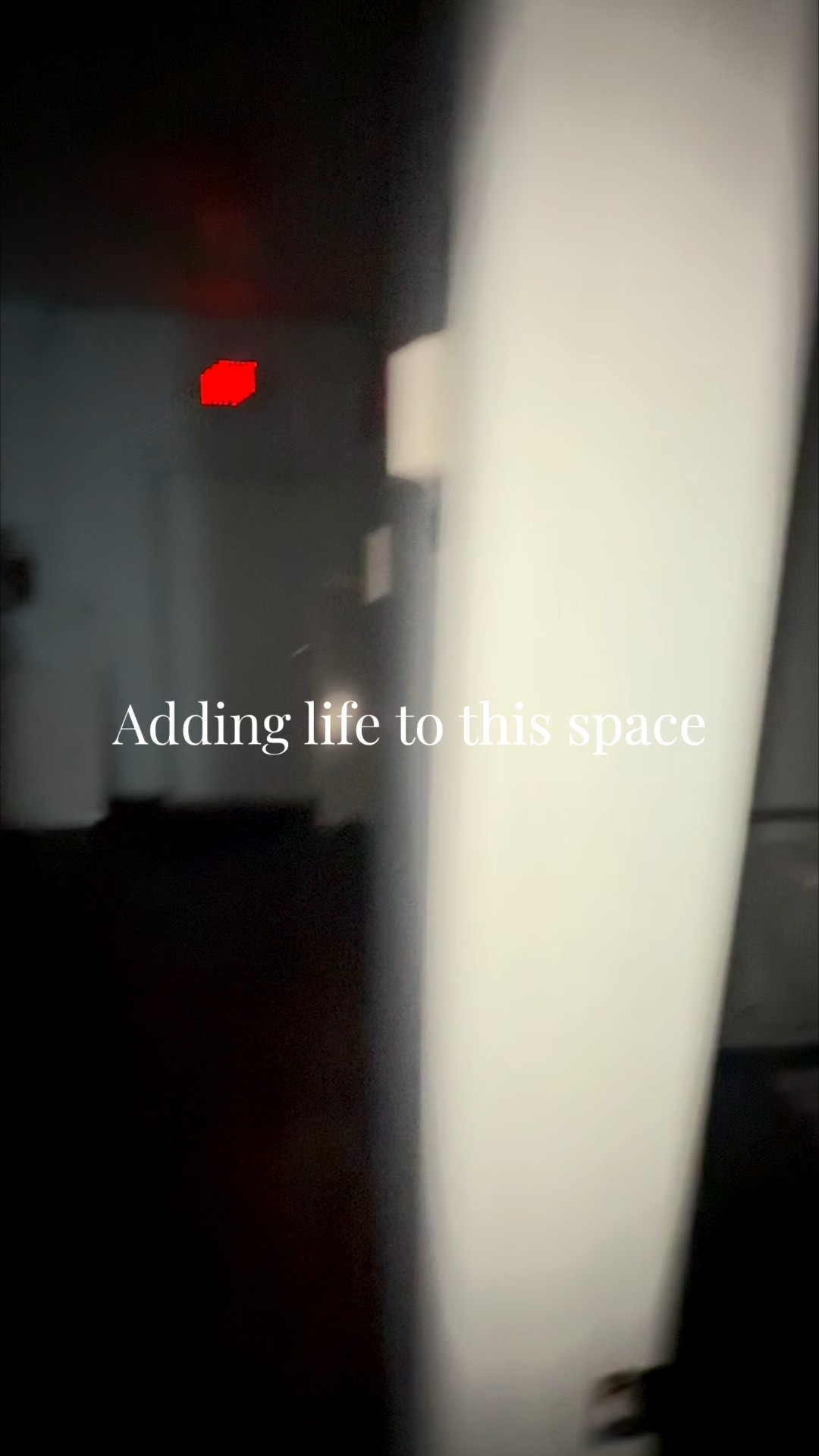 Bifold doors transformation 
Paint - Urban Jungle Sherwin Williams 



#LTKvlog #LTKdayinmylife #LTKHome