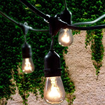 Lemontec Commercial Grade Outdoor String Lights with 15 Hanging Sockets - 48 Ft Black Weatherproo... | Amazon (US)