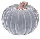 Boston International Decorative Tabletop Velvet Pumpkin, 4.5 x 3.5-Inches, Grey | Amazon (US)