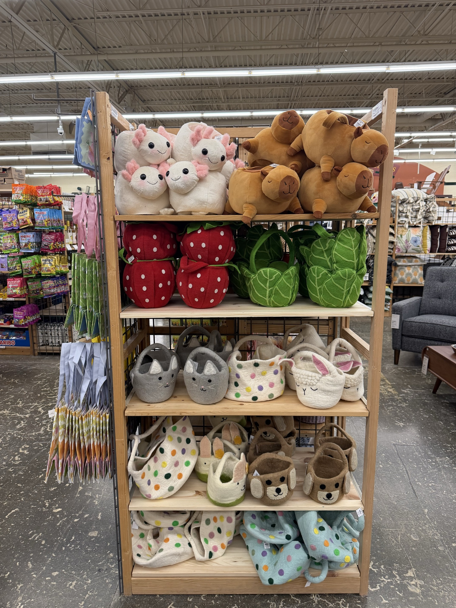 This is your sign to grab your Easter baskets at world market 🤩🌸🐣🩵￼

#LTKmomlife #LTKKids #LTKSeasonal