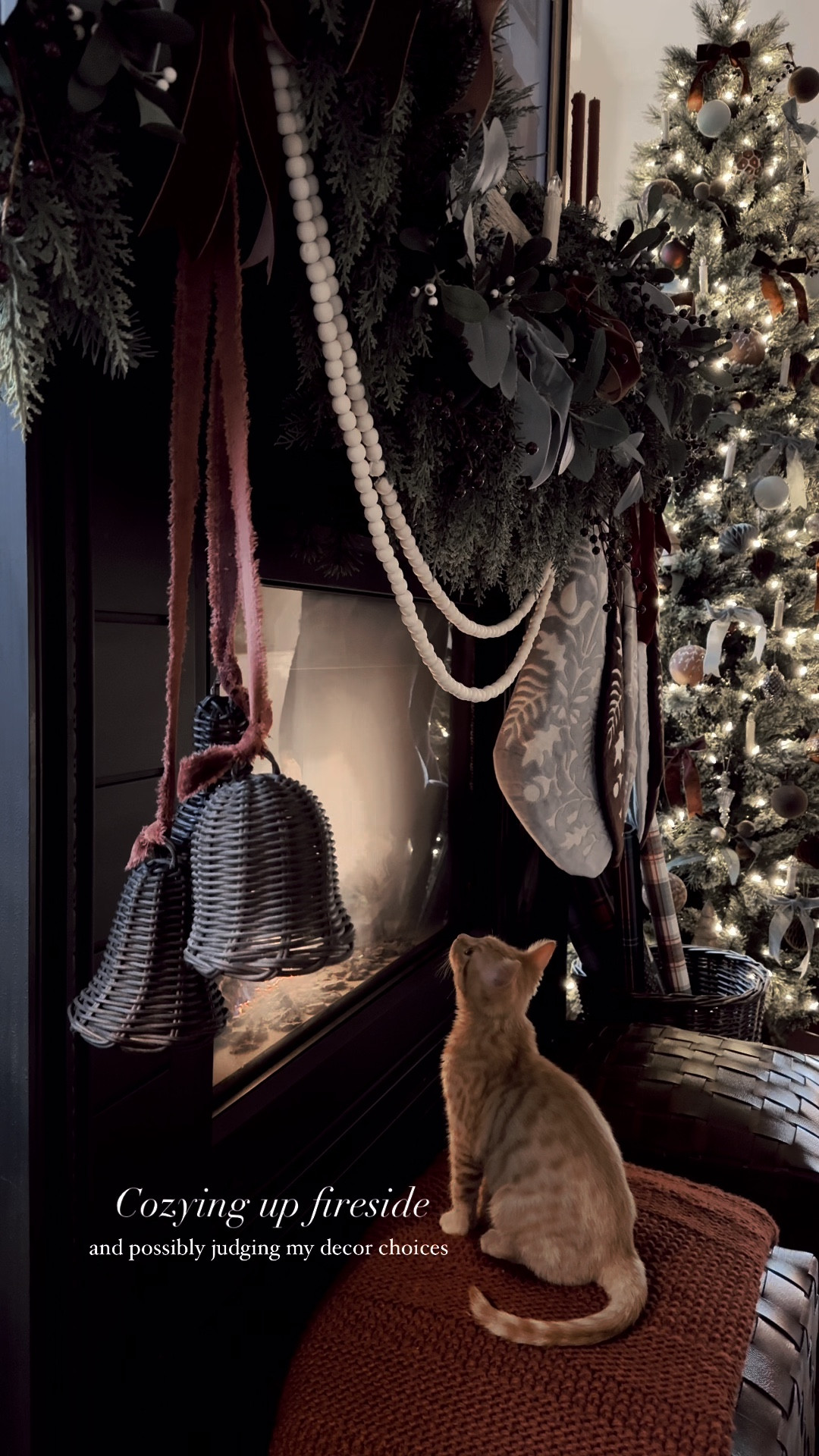 Carl loves to be fireside. 

#LTKFindsUnder50 #LTKHome #LTKHoliday