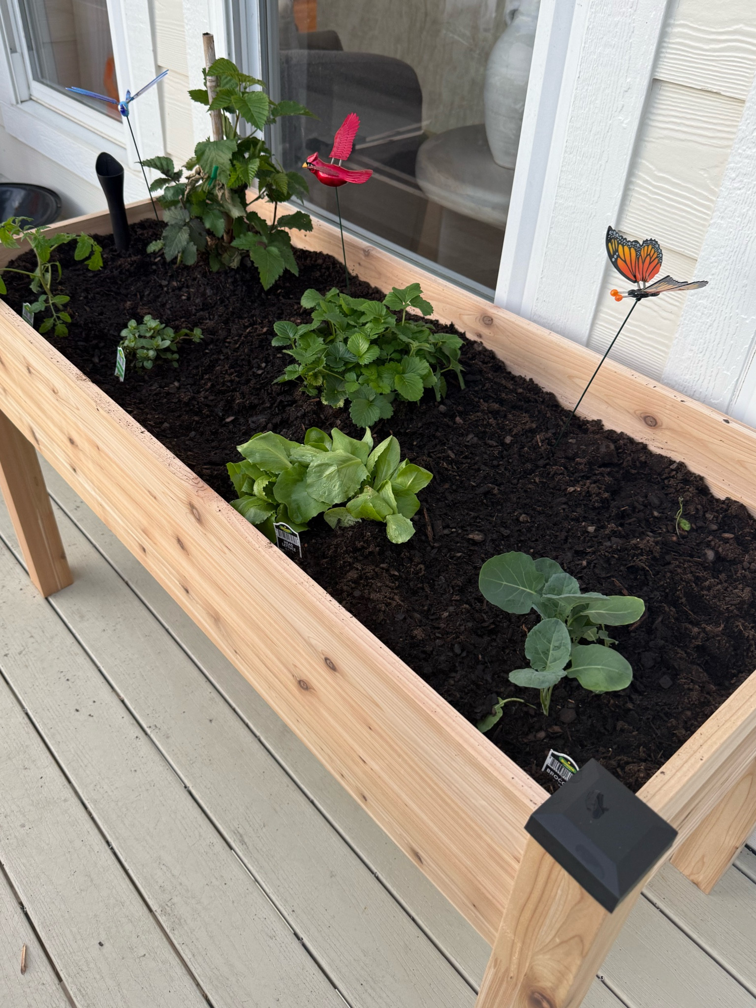 Cutie little vegetable garden 
Raised garden bed 

#LTKhome