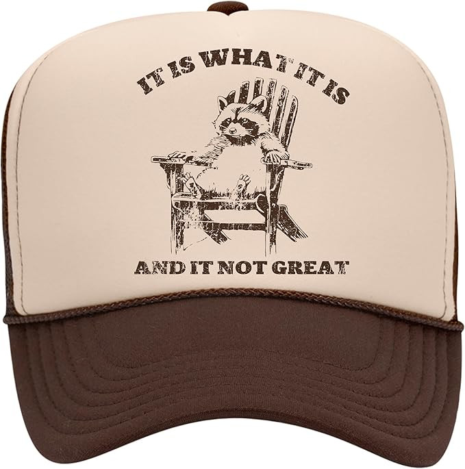 It is What It is and It is Not Great Trucker Hat | Vintage Raccoon Funny Meme | Premium Foam Snap... | Amazon (US)
