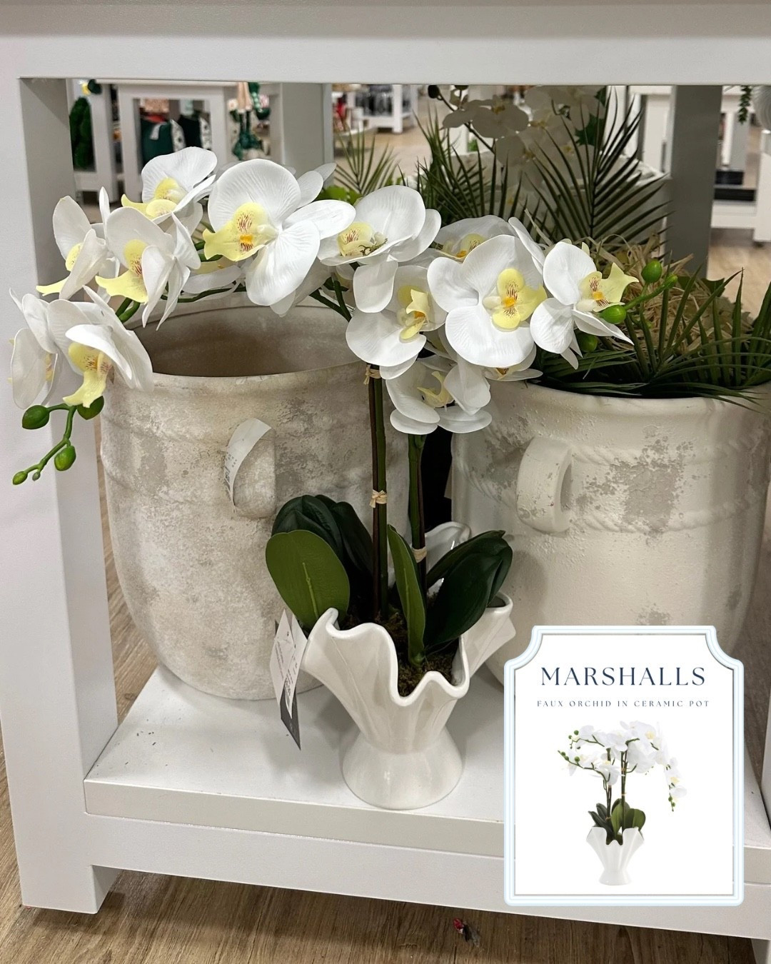 Marshalls 24” high faux orchid home decor! Love the wavy scalloped edge vase it comes in - very coastal chic! More favorite Spring greenery linked below

#LTKHome #LTKFindsUnder50 #LTKSaleAlert