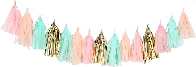 Fonder Mols Tissue Paper Tassels, Pastel Peach Pink Mint Green Tassel Garland, Baby Shower Decora... | Amazon (US)