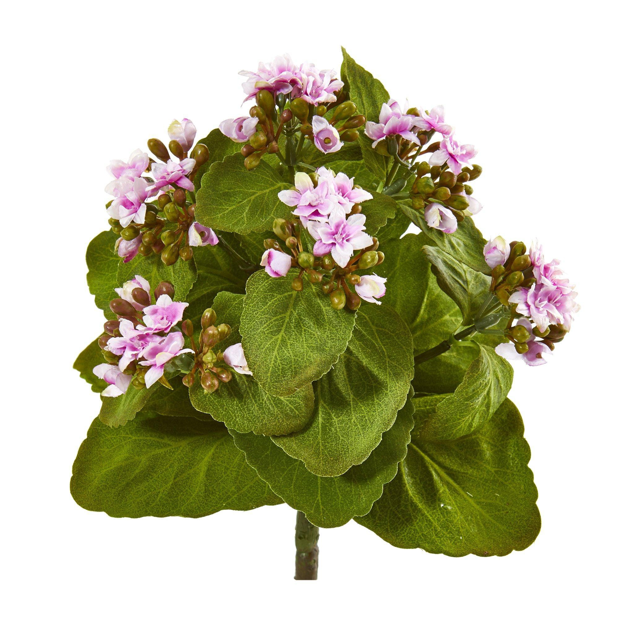 8” Kalanchoe Artificial Bush Flower (Set of 6) 2282-S6 Nearly Natural | Nearly Natural