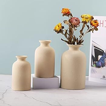 Dry Flower Vases, Ceramic Vase, Living Room Decoration,Flower Arrangement Decoration Shooting Props, | Amazon (US)