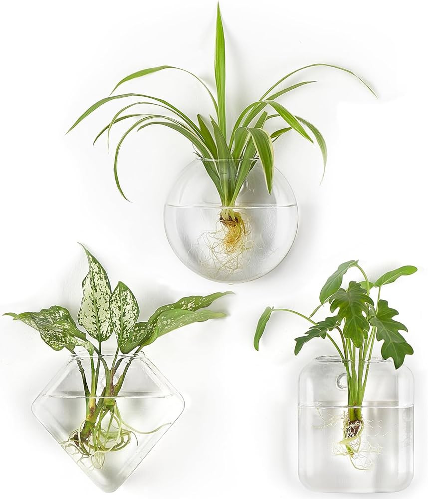 Mkono Wall Planter Propagation Stations Hanging Glass Terrariums Vase Container for Propagating H... | Amazon (US)