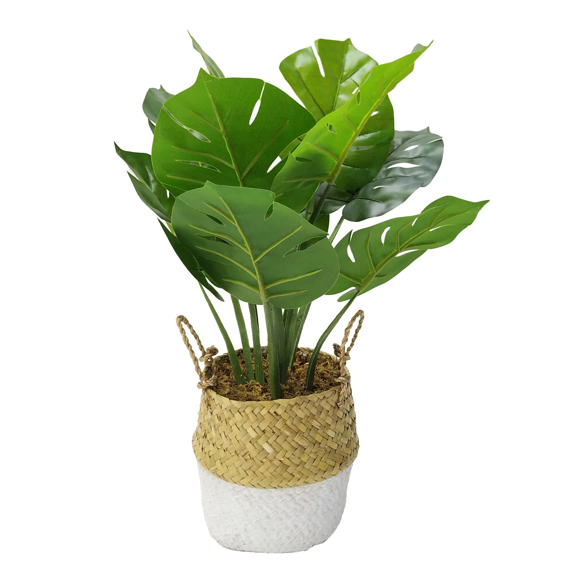 Better Homes & Gardens Faux Mini Monstera Plant Indoor Decoration, 19" Height, Green Color - Walm... | Walmart (US)