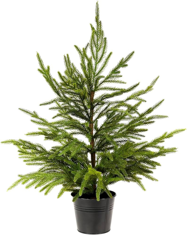 WBHome 2ft Tabletop Artificial Norfolk Pine Tree - 24" Faux Tree Potted Green for Front Porch Chr... | Amazon (US)