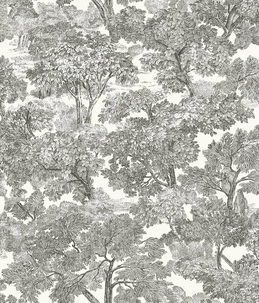 Chesapeake 3115-12542 Spinney Toile Wallpaper, Black | Amazon (US)