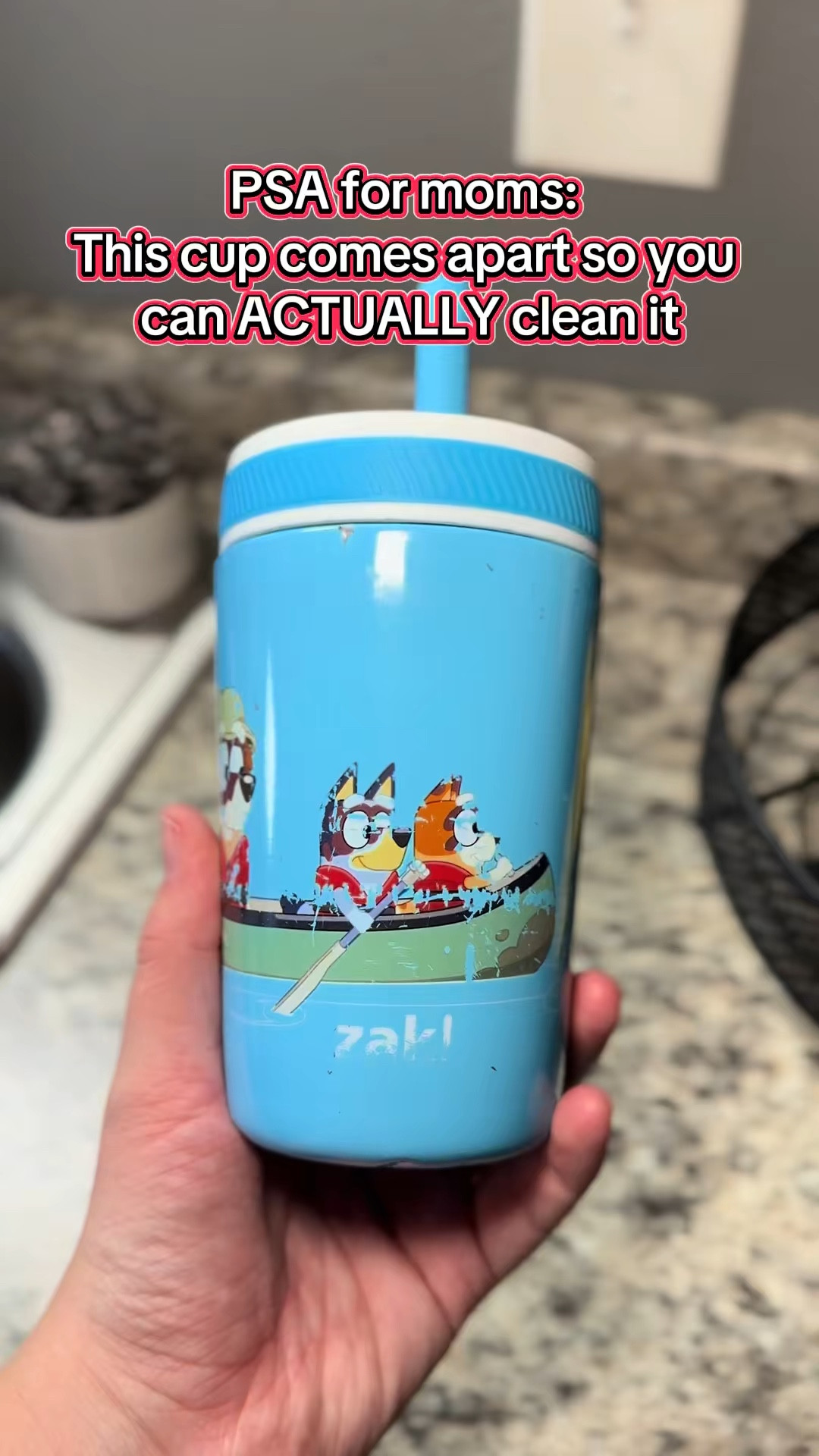 Never get mold with this Zak cup!


#LTKKids #LTKdayinmylife #LTKmomlife