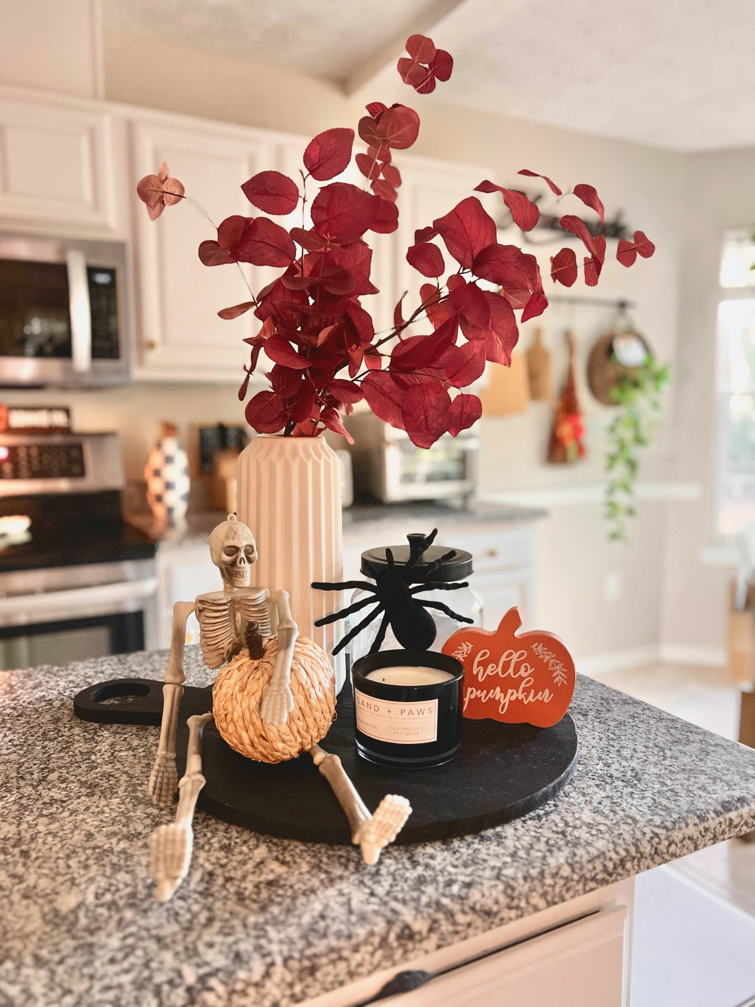 Welcome to the -ber months! Let the Fall/Halloween decorating begin 🖤 I’ve linked everything here (plus a few extra ideas!) to create a festive counter top display. The sand & paws candles are my absolute favorite for neutralizing any pet odors! 🥰

Fall decor, kitchen decor, fall home, Halloween decor, home & kitchen 

#LTKHome #LTKFindsUnder50 #LTKSeasonal