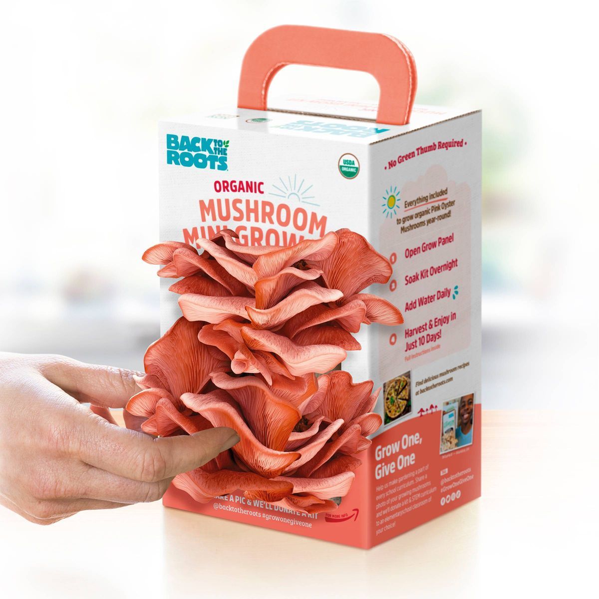 Back to the Roots Organic Mushroom Mini Grow Kit Pink Oyster | Target