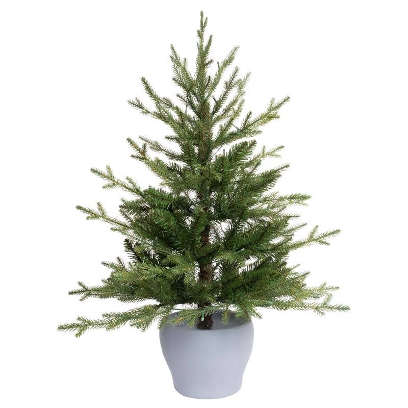 Celebrations 3 ft. Full LED 50 ct Fraser Fir Potted Color Changing Porch Bush | Amazon (US)