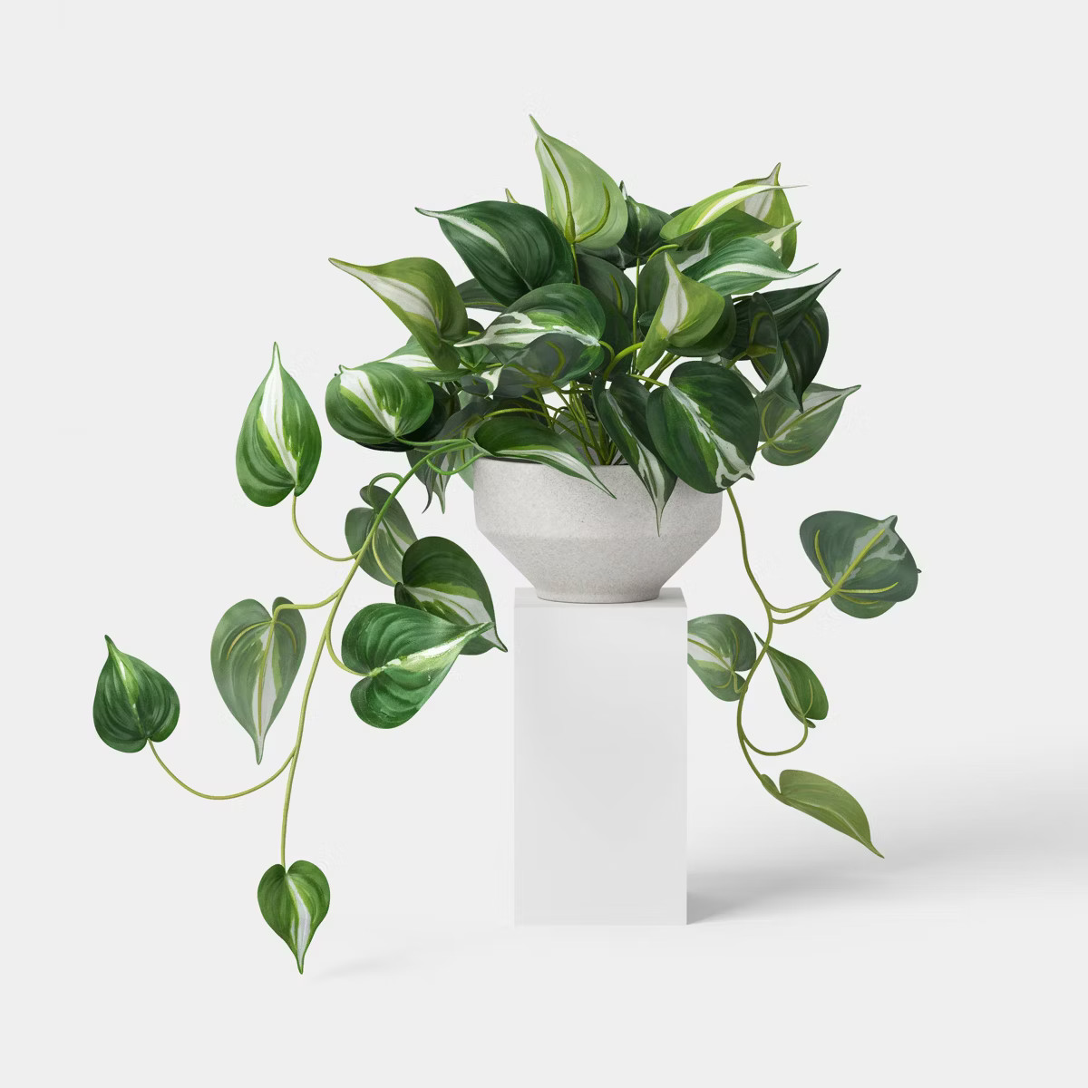 Trailing Pothos Plant - Threshold™ | Target