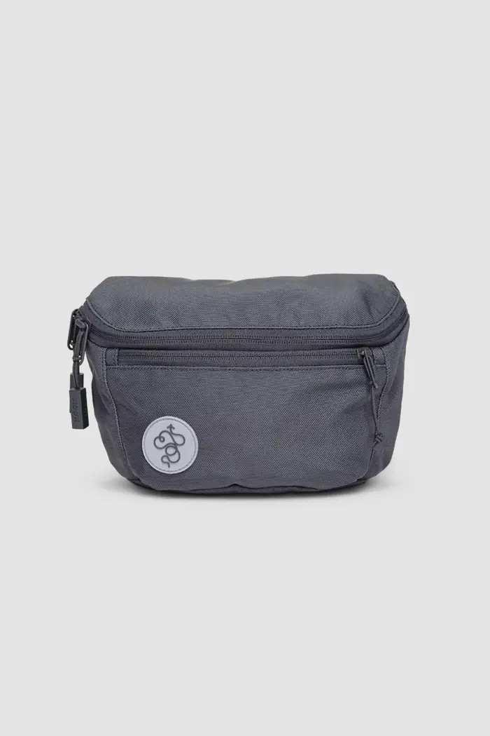 Fannypack 3L | Nordstrom