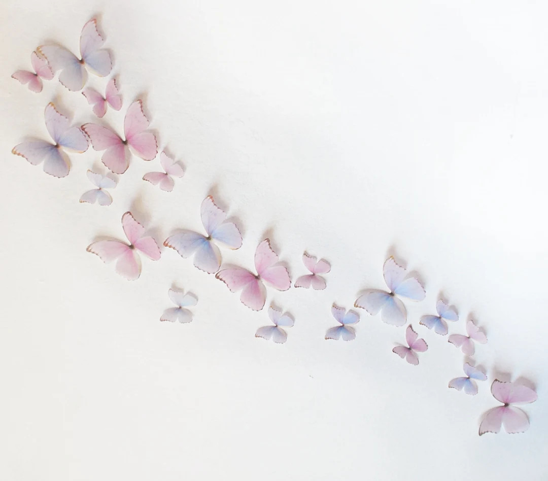 3D Wall Butterflies Light Pink and Purple Princess Mix - Etsy | Etsy (US)