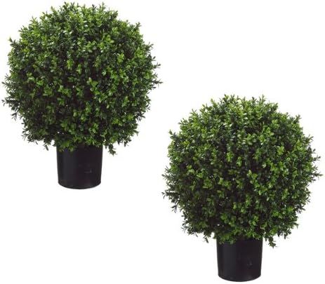 Set of 2 - Pre-Potted 24" High Ball Shaped Boxwood Topiary- 16" Diameter - Plastic Pot | Amazon (US)
