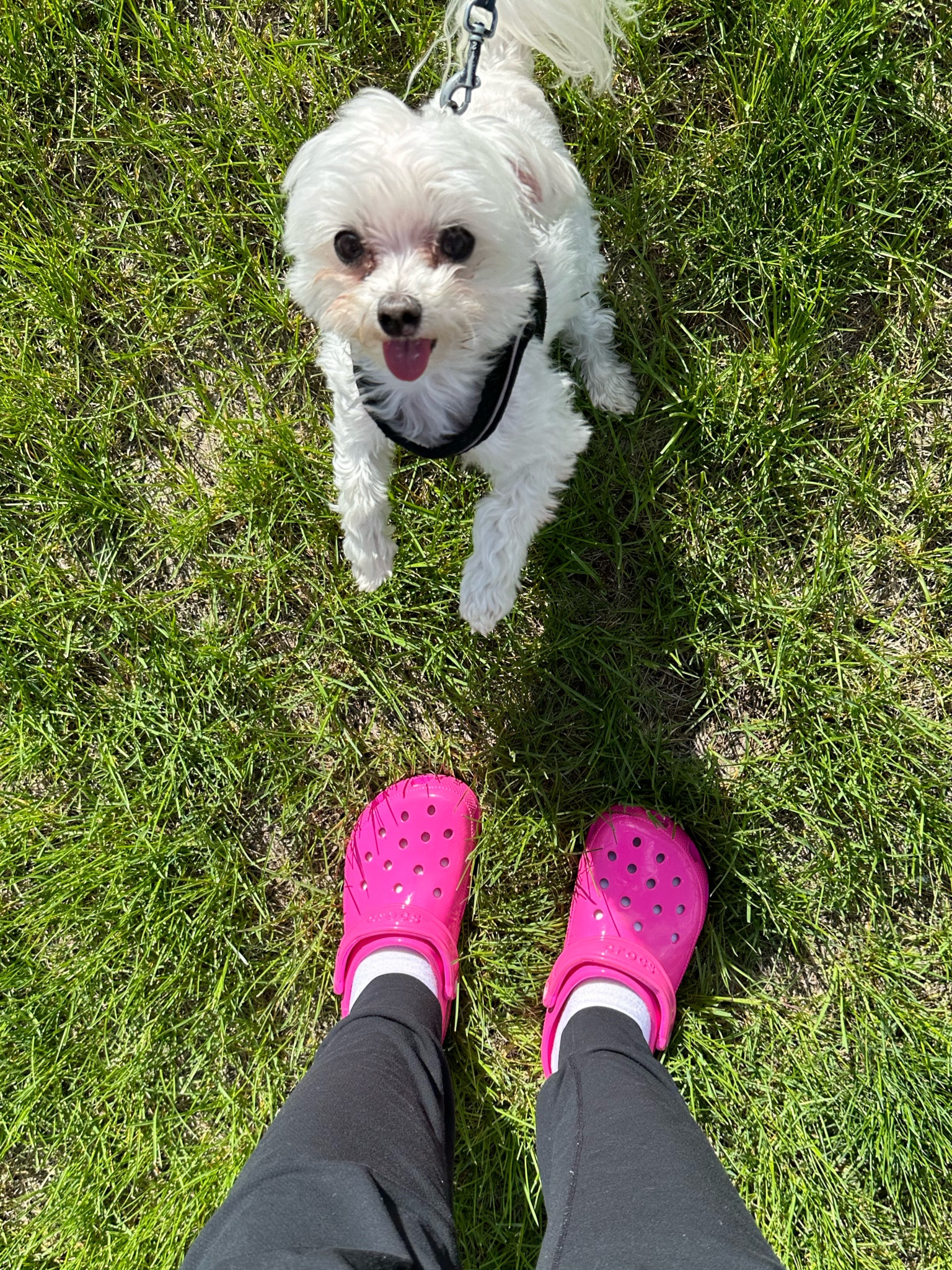 The pink highlighter crocs! Available in women’s and kids! I’m wearing the kids 6 which is like a women’s 8! 

#LTKSaleAlert #LTKShoeCrush #LTKSeasonal