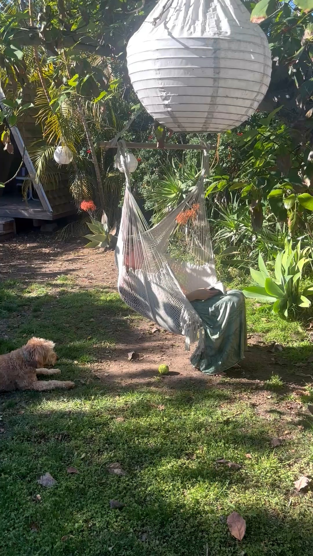 Charlie is waiting for her to throw the ball.  We love this swing!  It has lasted a couple years and wasn’t that expensive.  Who is ready to get their yard ready for summer! 

#LTKHome