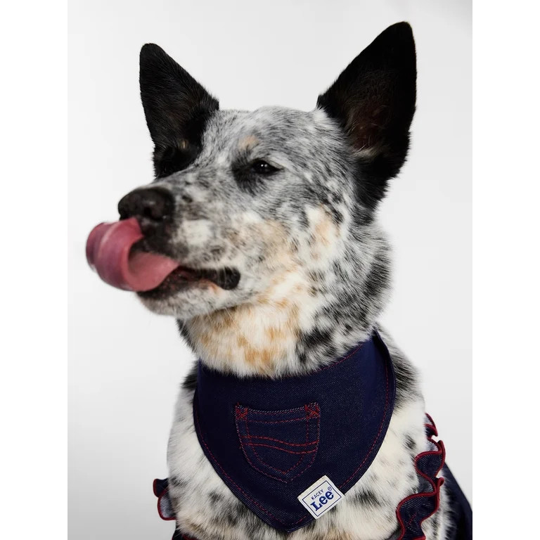 Kacey Lee Denim Pocket Pet Bandana for Cats and Dogs, Blue, Extra Small/Small | Walmart (US)