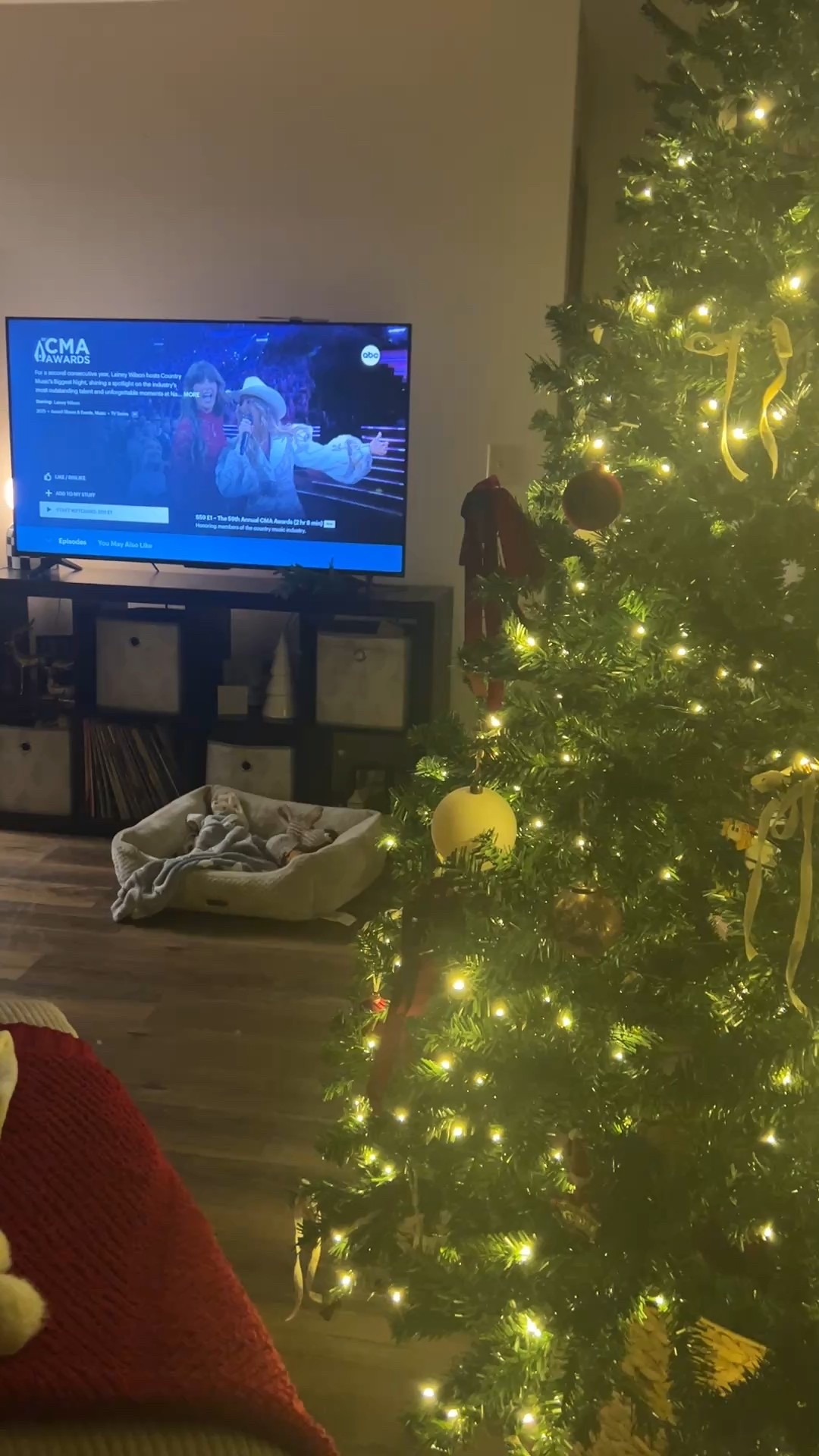 🎅🏻❄️ Christmas has begun!!! ❄️🎅🏻 Linking all everything I can for y’all :)

WALMART VIRAL XMAS TREE IS ON SALE!!!! 🎄

ORG: $328.99
NOW: $199.99

That’s $129 off!!!! 🤑

Best Choice Products Artificial Christmas Tree, 7.5ft Premium Pre-Lit Spruce Design, Dense Branches - Green Spruce

Walmart finds, Walmart holiday, Walmart deals, Walmart Christmas Tree, Walmart seasonal, Walmart sale, trending at Walmart, christmas trees, christmas trees on sale, holiday finds, holiday deals, christmas finds, christmas decor, viral christmas trees, viral trees, watch now

#LTKHome #LTKHoliday #LTKSaleAlert