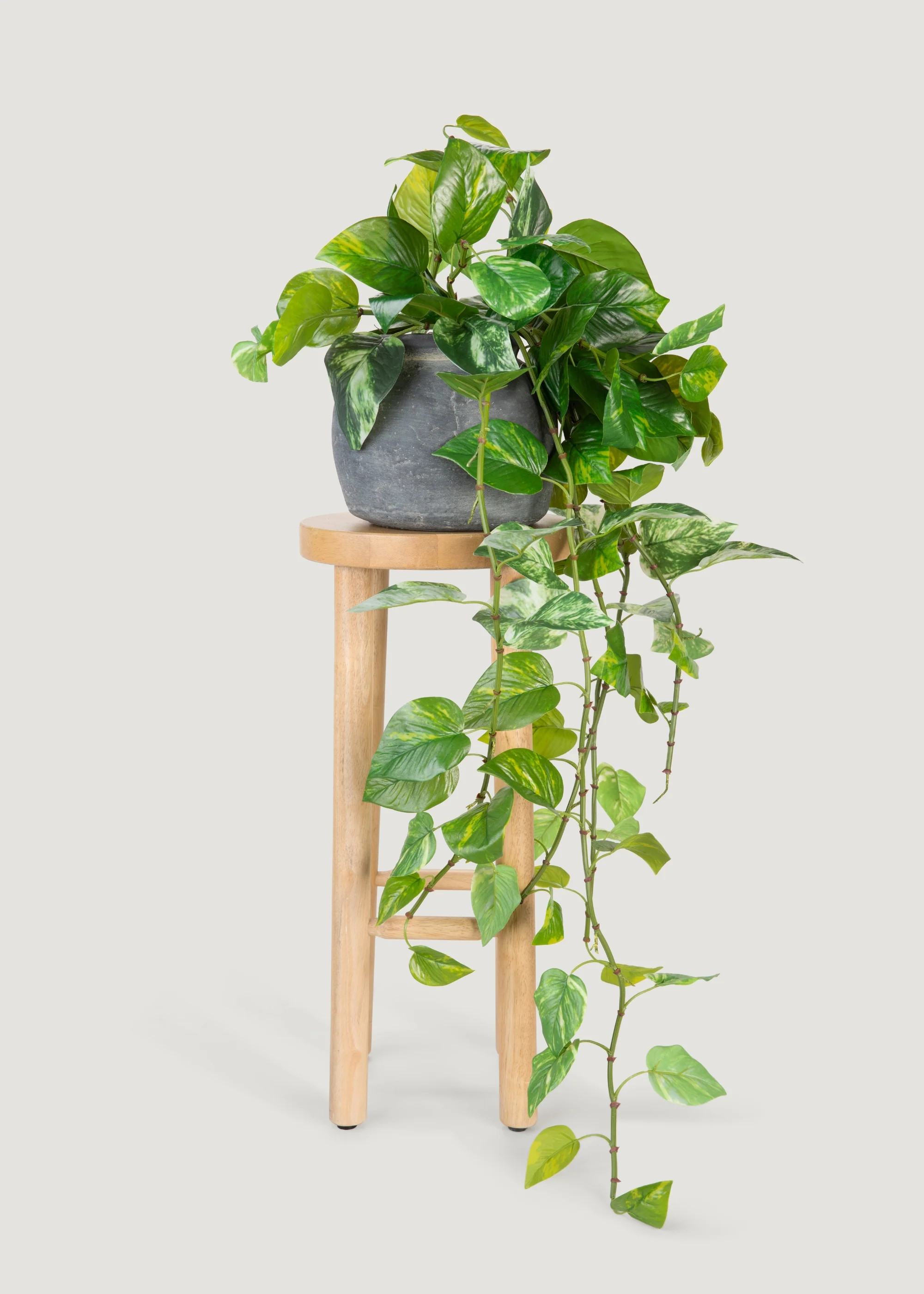 UV Treated Hanging Pothos Plant | Outdoor Fake Plants | Afloral | Afloral