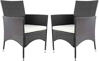 Amazon Brand - Ravenna Home Set of 2 Contemporary Outdoor Patio Dining Chairs with Cushion, Weath... | Amazon (US)