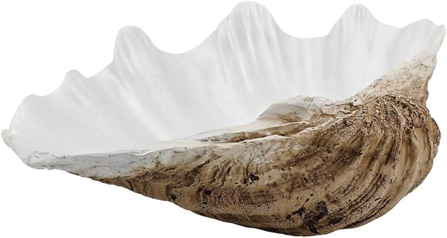 ALIWINER Seashell Bowl Decor Resin Large Natural Weathering Clam Shell with Pearl White Nautical ... | Amazon (US)