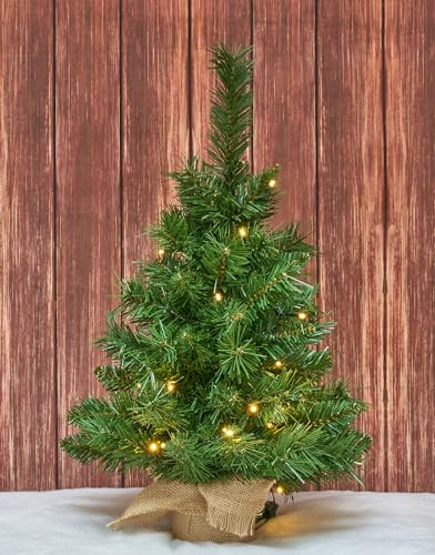 Osfvn Small Christmas Tree 2ft Prelit Battery Operated Timer Lighted Artificial Green Mini Xmas Pine Trees Decorations Tabletop Centerpiece Mantel Home Decor | Amazon (US)