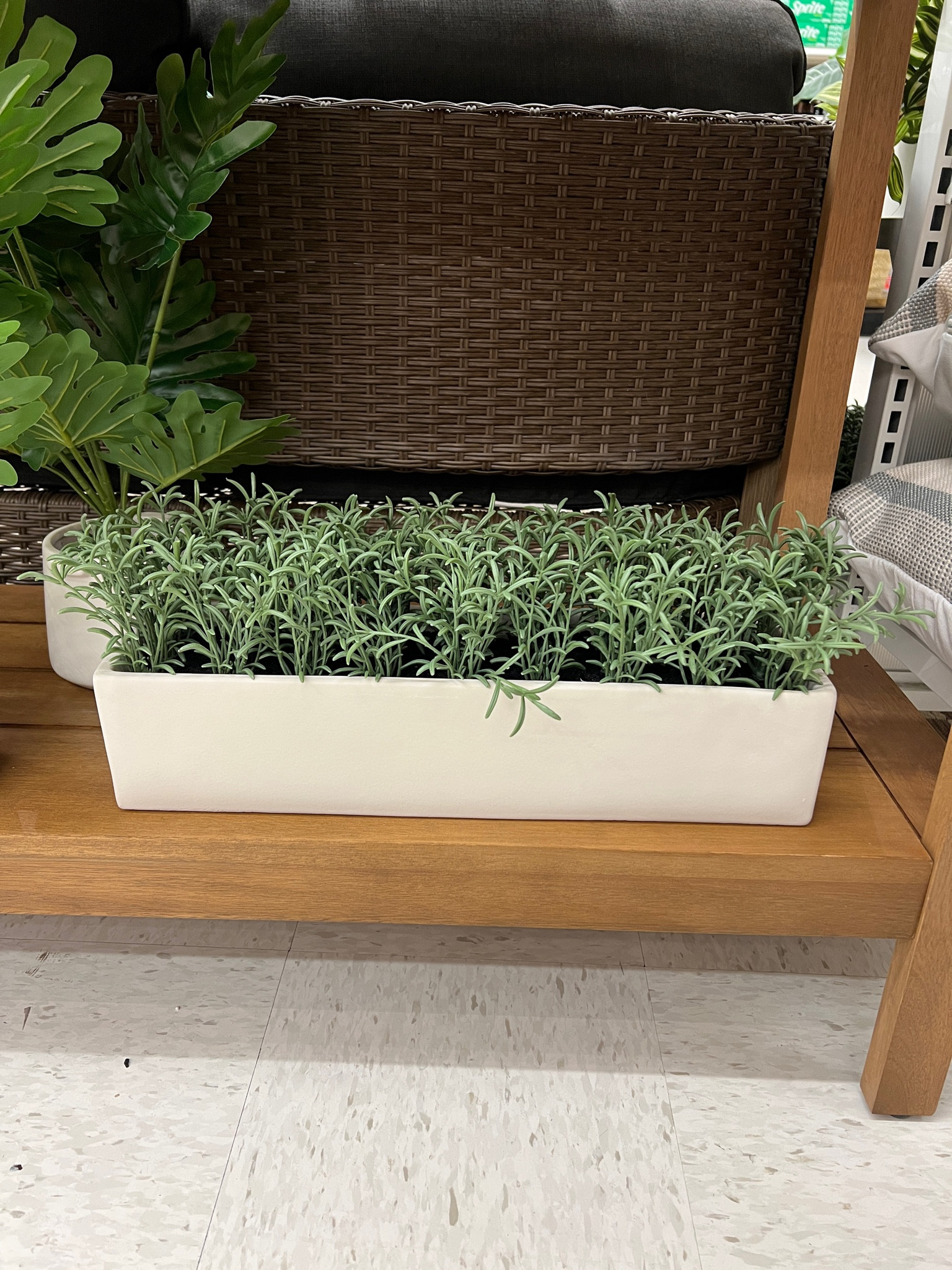 Love this succulent planter 🪴 it is such a good size for the price! It’s also 20% off this week 💚 | succulent | plant | planter | 

#LTKsalealert #LTKhome #LTKFind