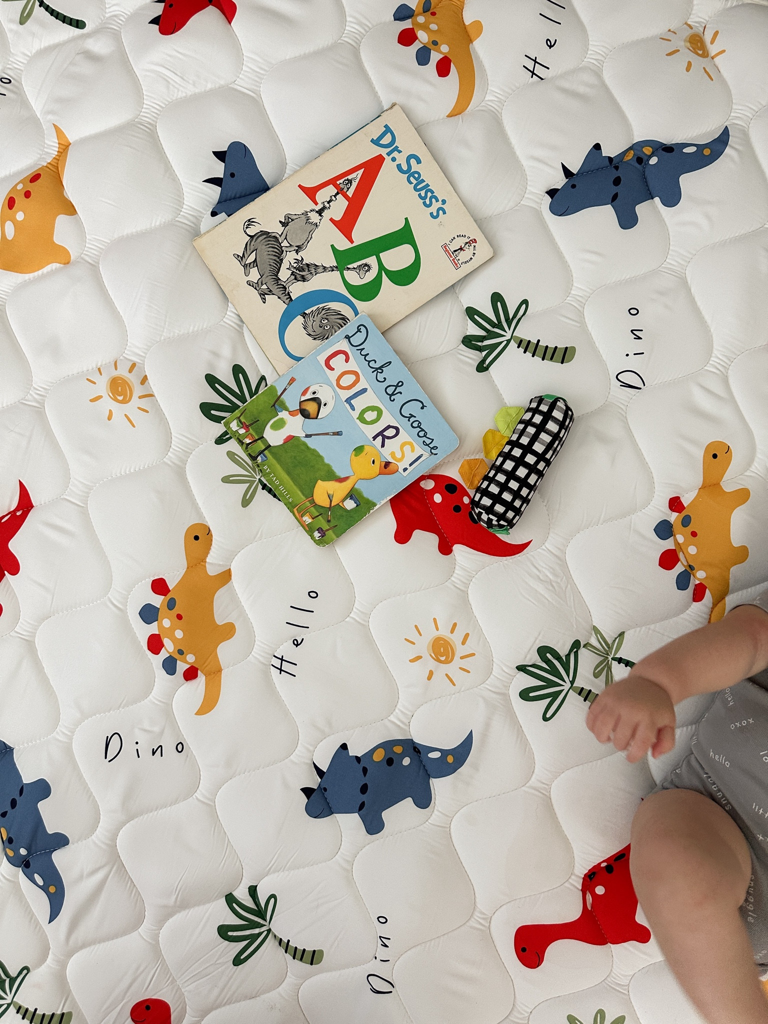 must have playmat 🦖 super soft and the perfect size for baby to roll around in

#babyplaymat #babymusthave